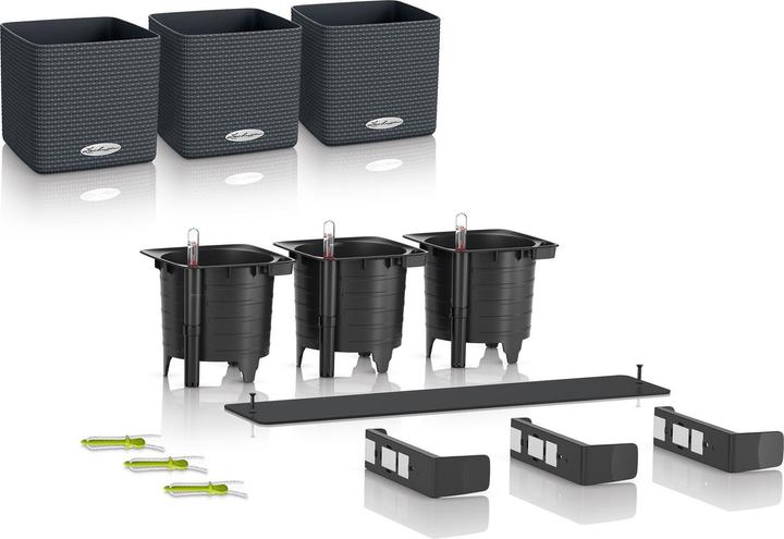 Actual product image Lechuza Green Wall Home Kit (15 cm)