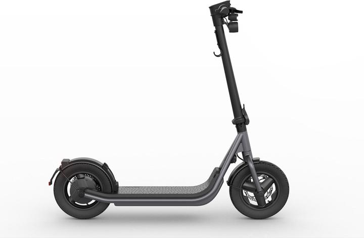 Produktbild Egret X (20 km/h, 60 km, 500 W)