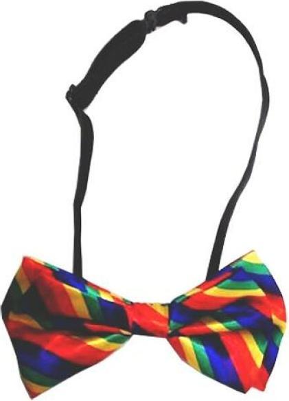 Actual product image Fly With Lgbt Flag