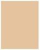 Actual product image Erborian Super BB (Nude)