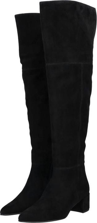 Högl Stiefel (38)