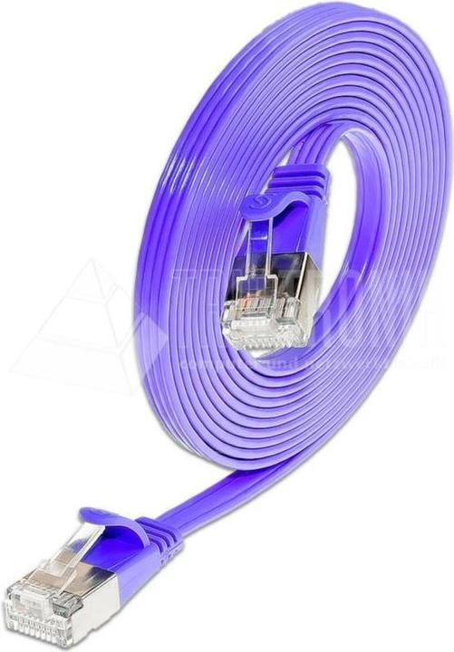 Viola
