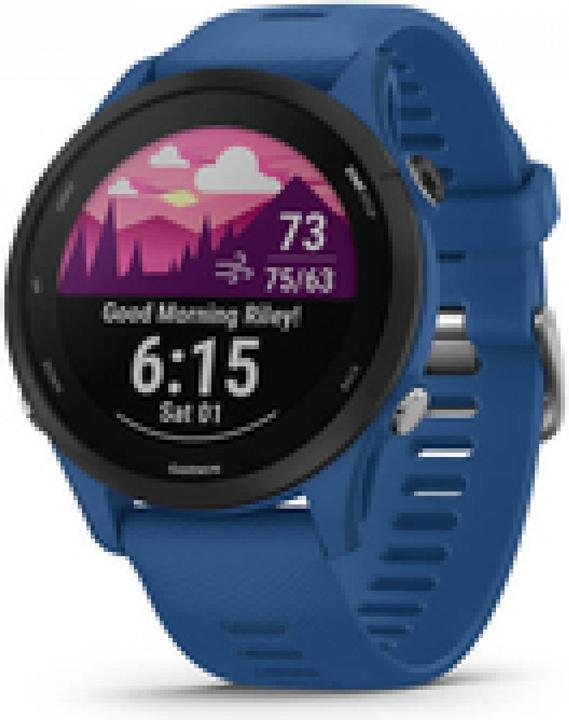 Actual product image Garmin Forerunner 255 (46 mm)