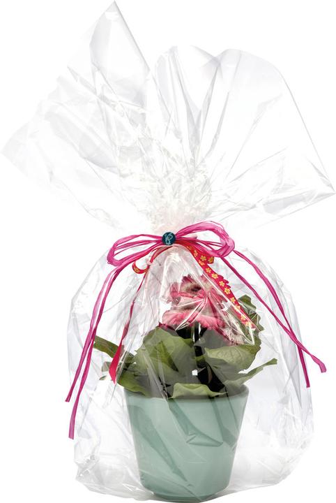 Produktbild Folia Rolle glasklar (Geschenkfolie, 1 x)