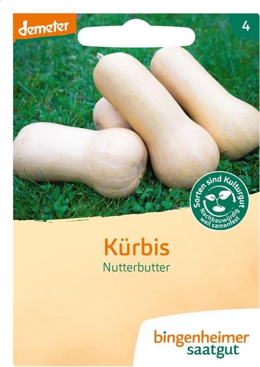 Image du produit Bingenheimer Saatgut Kürbis Nutterbutter