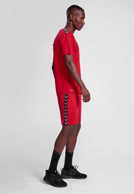 Image du produit hummel Hmlauthentic Pl Jersey S/S (L)