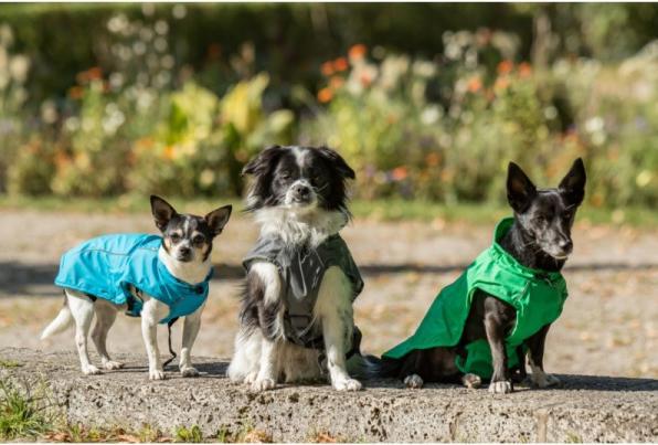 Immagine prodotto Chiara Giacca antipioggia con imbracatura Harry (XXL, Cappotto per cani)
