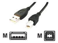 Actual product image Gembird Professional series (3 m, USB 2.0)