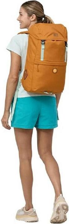 Actual product image Patagonia Fieldsmith Roll Top (30 l)