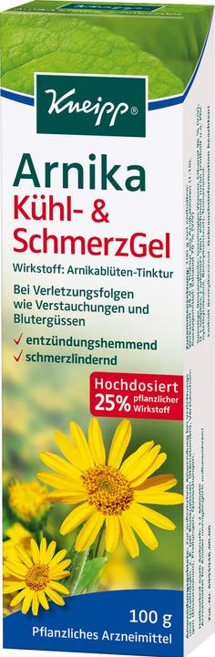 Produktbild Arnika Kühl- & SchmerzGel, 100 g Gel (1 x)