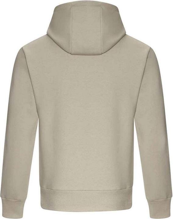 Immagine prodotto Awdis Signature Felpa con Cappuccio Uomo (XL)