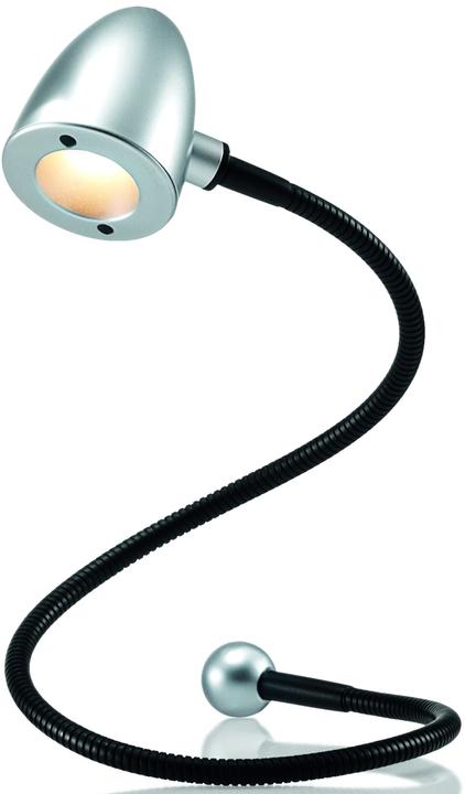 Actual product image Hansa snake (100 lm)