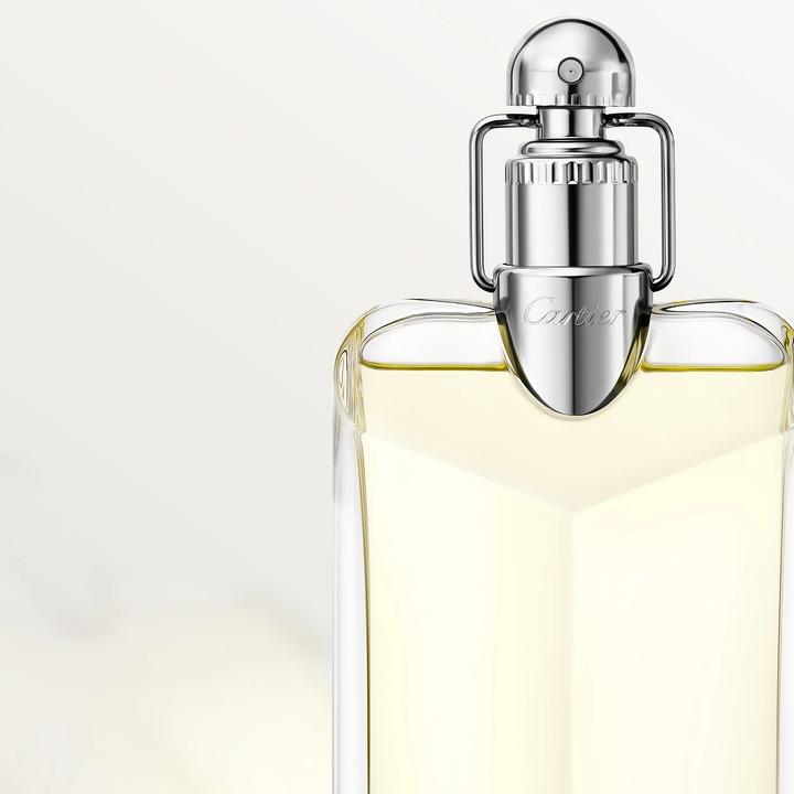 Immagine prodotto Cartier Declaration (Eau de toilette, 100 ml)