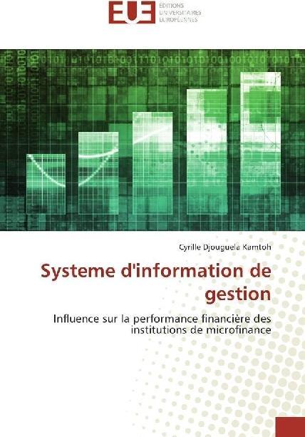 Actual product image Systeme d'information de gestion (German, Cyrille Djouguela Kamtoh, 2017)