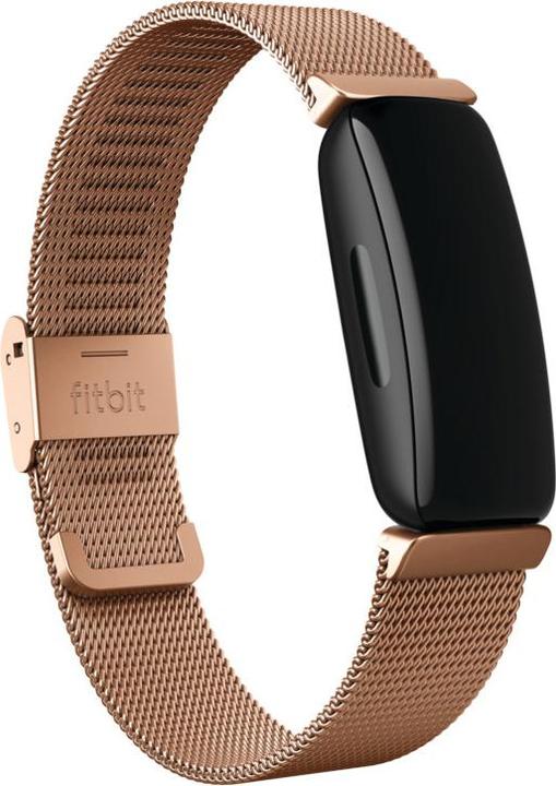 Actual product image Fitbit Inspire 2 metal mesh bracelet (Metal)