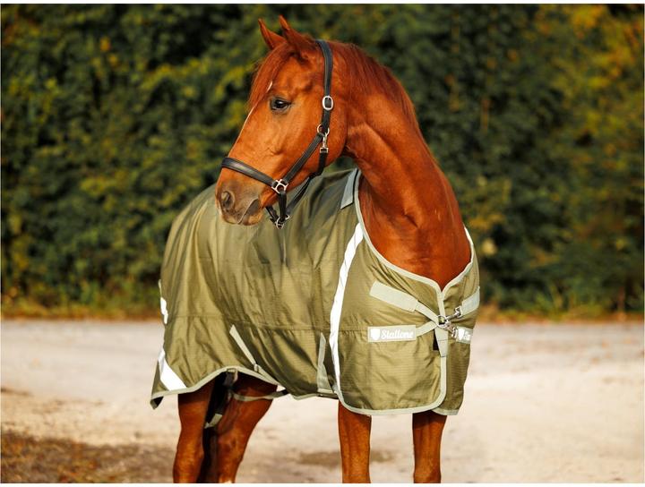 Produktbild Stallone Weidedecke 100 g Outdoor Guard (140 cm)