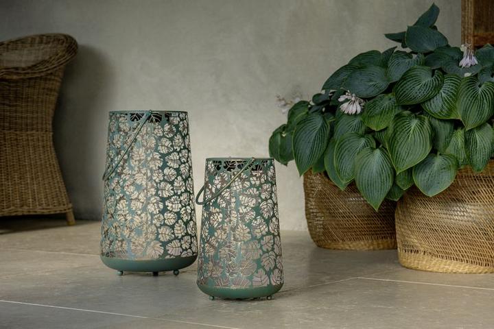 Produktbild STT Antic Monstera