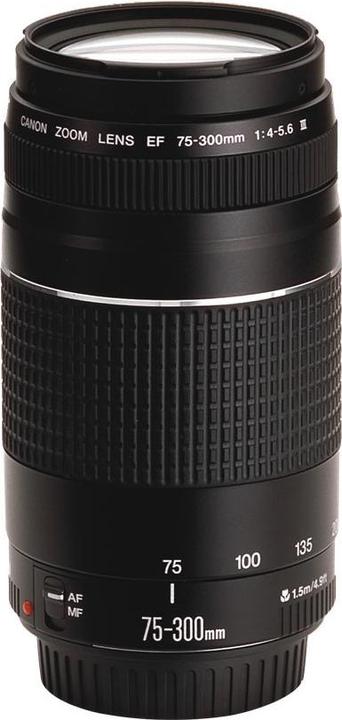 Immagine prodotto Canon EF 75-300mm f/4,0-5,6 III (Canon EF, APS-C / DX)