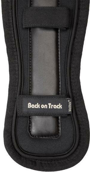 Actual product image Back on Track galena