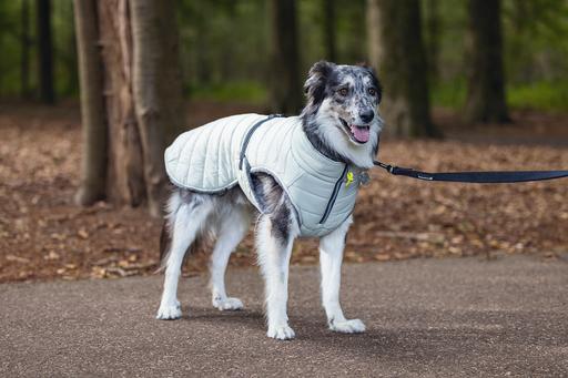 Immagine prodotto Beeztees Bz Cappotto Per Cani Bobby Taupe 52 (52, Cappotto per cani)