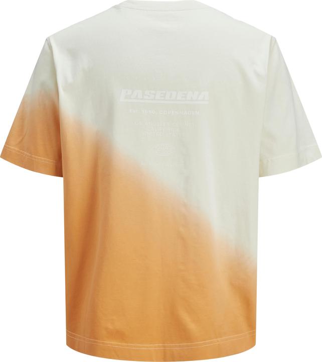 Actual product image Jack & Jones Colour Blocking T-shirt Junior T-shirt (176)