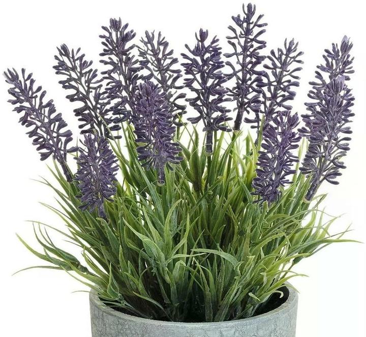 Produktbild Dekomat Lavendel (22 cm)