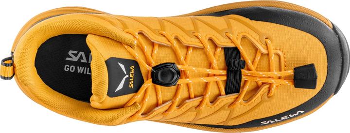Image du produit Salewa Kid's Wildfire 2 (36)