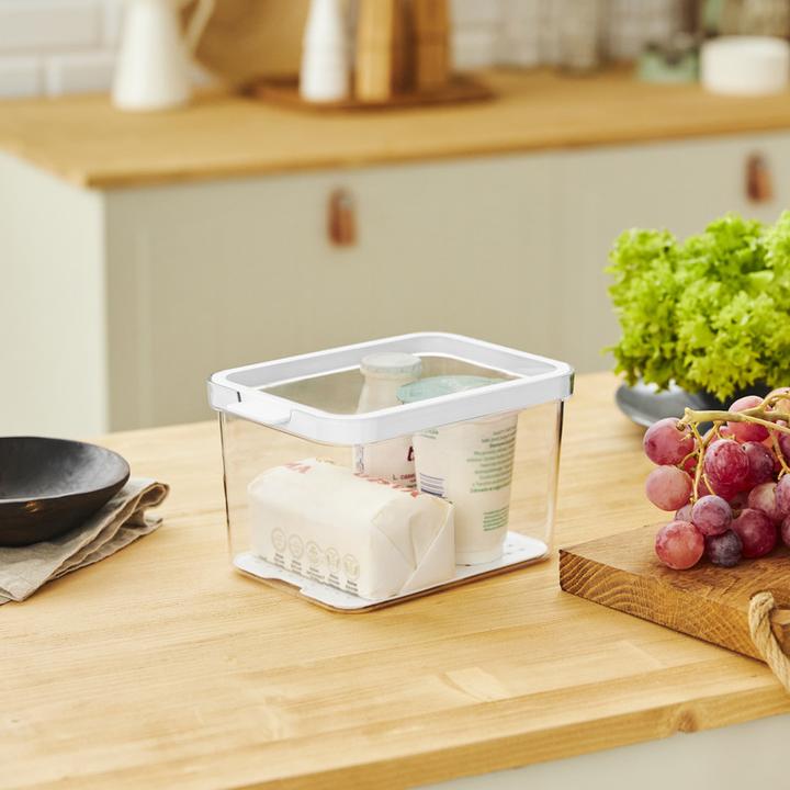 Actual product image Rotho Cauma fridge organiser