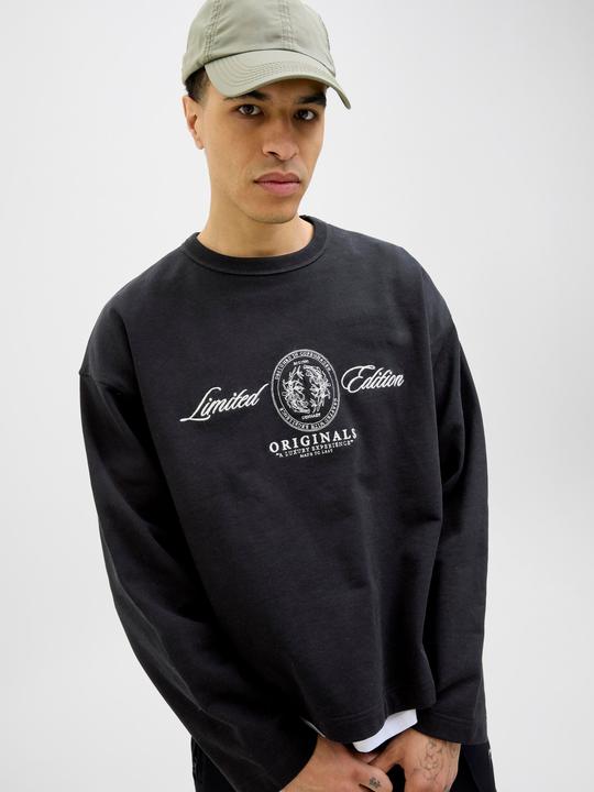 Produktbild Jack & Jones Jordia Sweat Crew Neck Ss25 (XXS)