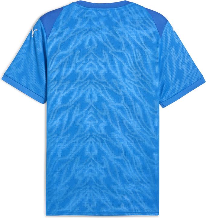 Produktbild Puma teamCUP Jersey (S)