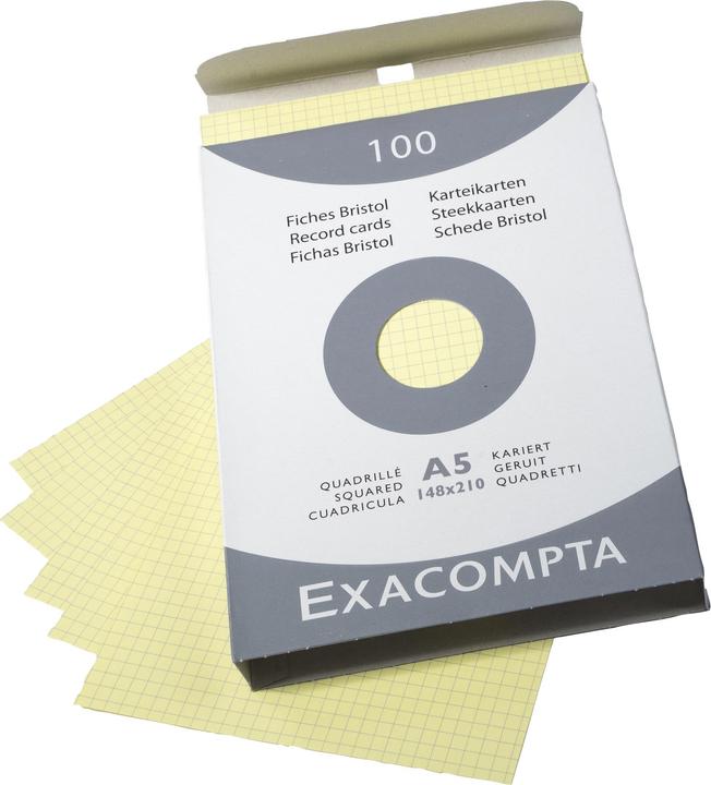 Immagine prodotto Exacompta Schede di valutazione (A5, 205 g/m², 100 x)