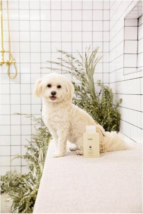 Actual product image Ouai Fur Bébé Pet Shampoo (Dog, 474 ml)