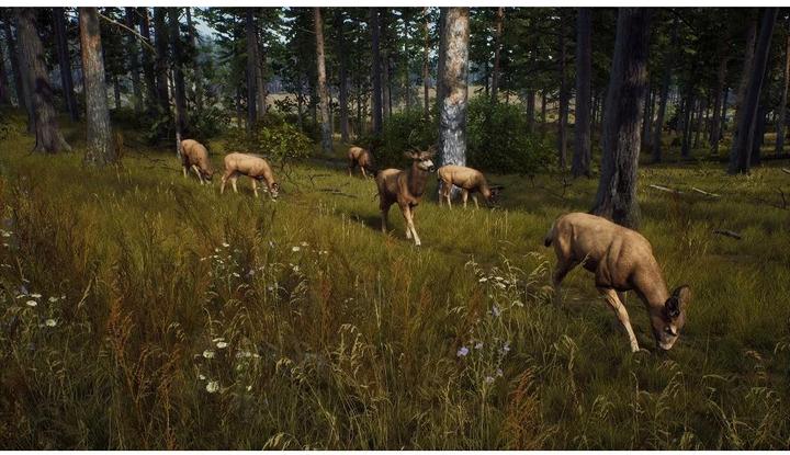Produktbild THQ Way of the Hunter (Xbox Series X, DE)