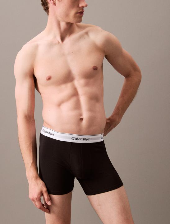 Immagine prodotto Calvin Klein Boxer Brief 3pk (XL)