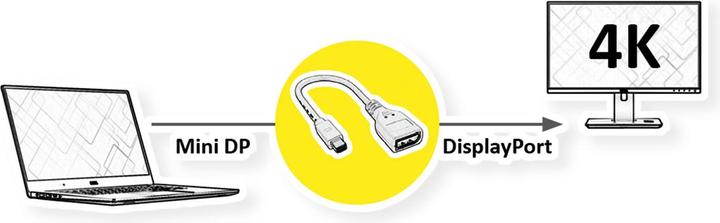 Produktbild Roline Mini DP zu (Mini DP, 15 cm)