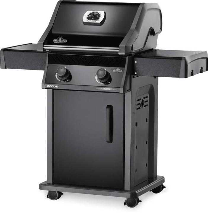 Image du produit Napoleon Rogue 365 'Tout noir (9.50 kW)