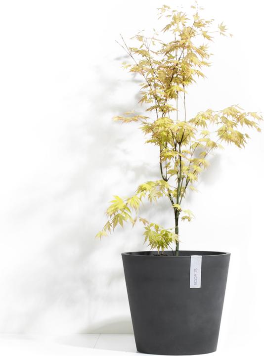 Produktbild Ecopots Amsterdam (40 cm)