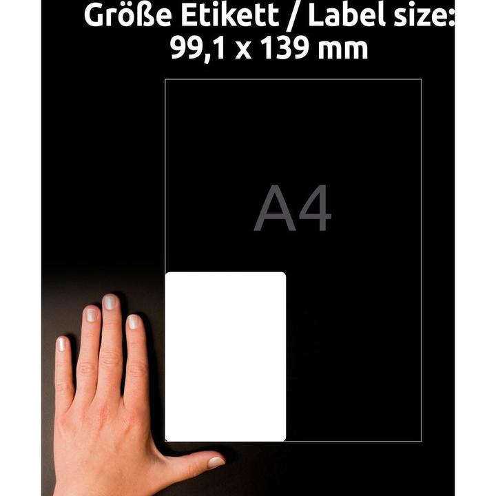 Actual product image Avery weatherproof labels