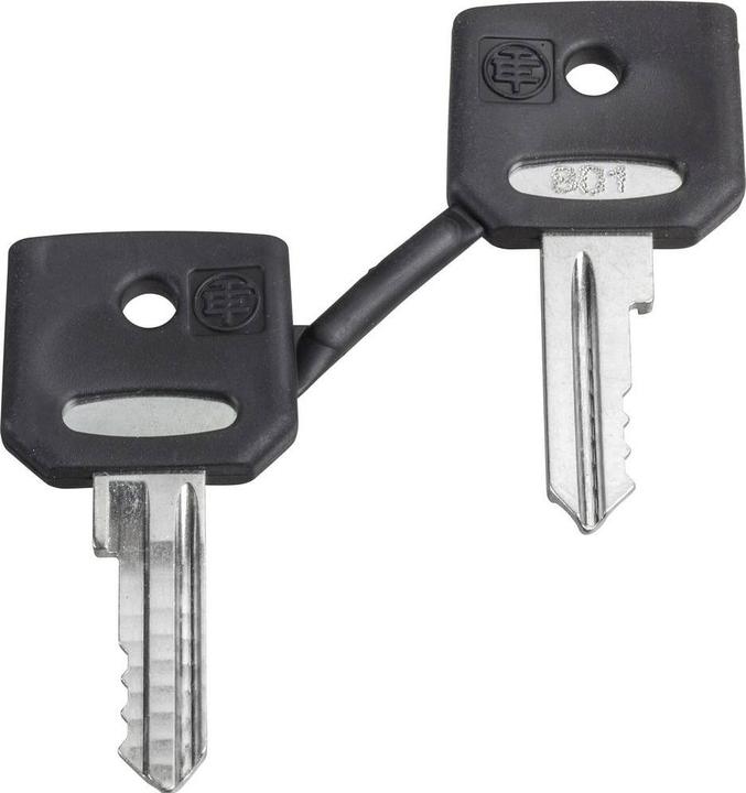 Immagine prodotto APC GmbH Chiave di ricambio per l'interruttore a chiave ZBD8D1 (