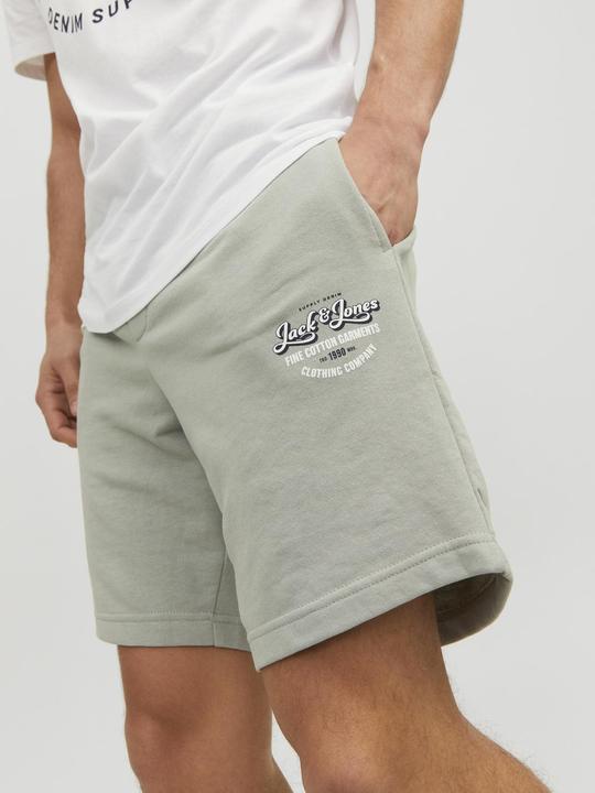 Actual product image Jack & Jones Shorts (M)