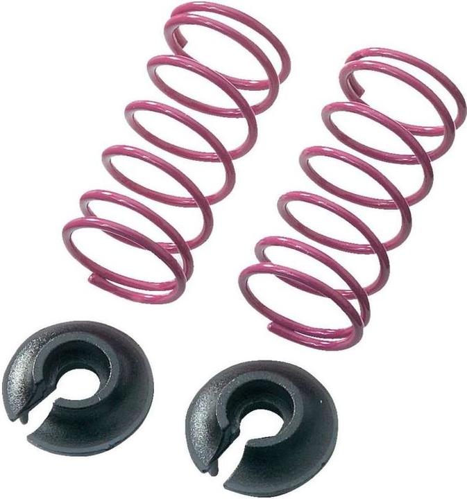 Actual product image Reely 1:10 Tuning shock absorber spring