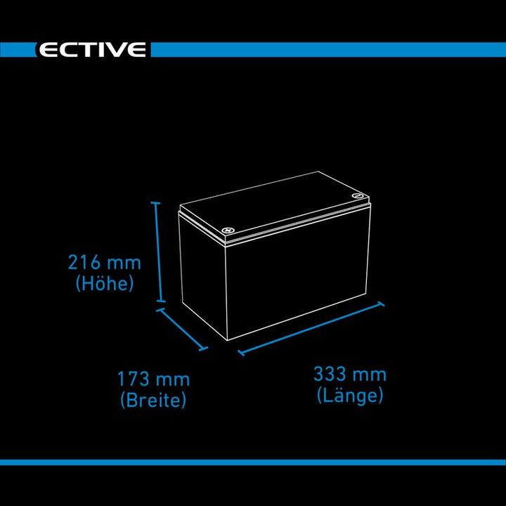 Immagine prodotto Ective Batteria di alimentazione AGM a ciclo profondo 12V 115Ah con display batteria camper (12 V, 115 Ah)