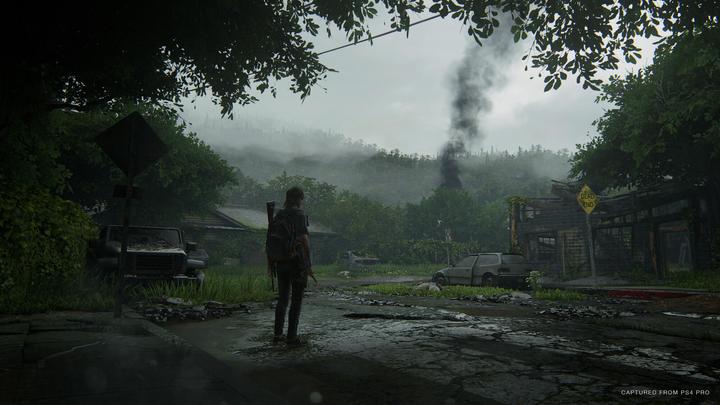Immagine prodotto Sony The Last of Us Part II Edizione Standard (EN/RU) PS4 (PS4, DE)