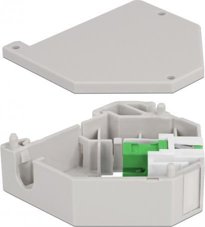 Image du produit Delock Adaptateur pour profilé chapeau avec Keystone SC Simplex femelle vers SC Simplex femelle vert