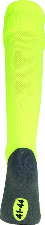 Actual product image Uhlsport Sock TEAM PRO ESSENTIAL (33 - 36)