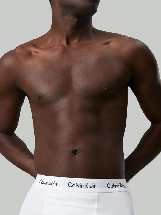 Actual product image Calvin Klein Trunk (L, pack of 3)