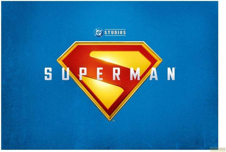 Actual product image Monogram Superman Legacy 3D PVC bag tags Series 1 Display (24)