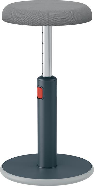 Leitz Ergo Cosy Active