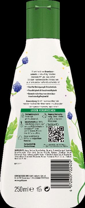 Actual product image Guhl Kids 2in1 Shampoo, Duschgel Brombeerextrakt (250 ml, Liquid shampoo)