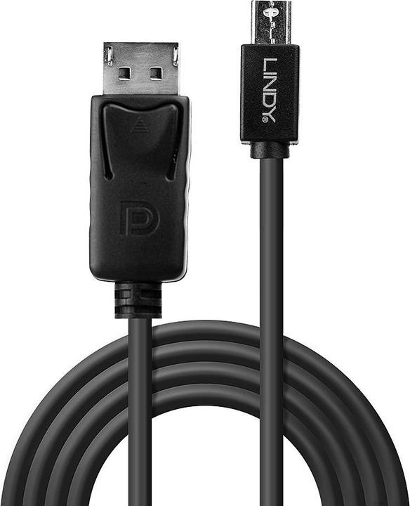 Image du produit Lindy Mini DisplayPort — DisplayPort (2 m, DisplayPort)